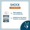 Shock - Dog lameness (fast-acting) - Lore & Science